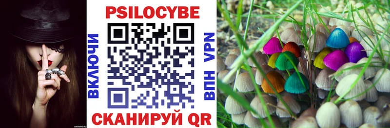 Купить где  Пермь  Псилоцибиновые грибы мицелий 